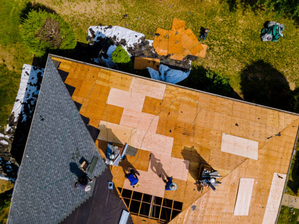 Roof Waterproofing Services in Salmon Creek, WA